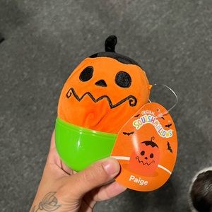 Paige mystery squishmallow